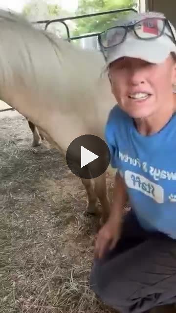 Video — August 12 2026