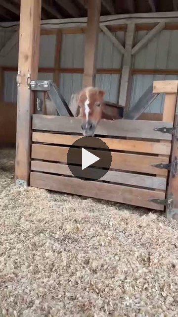 Video — September 23 2026