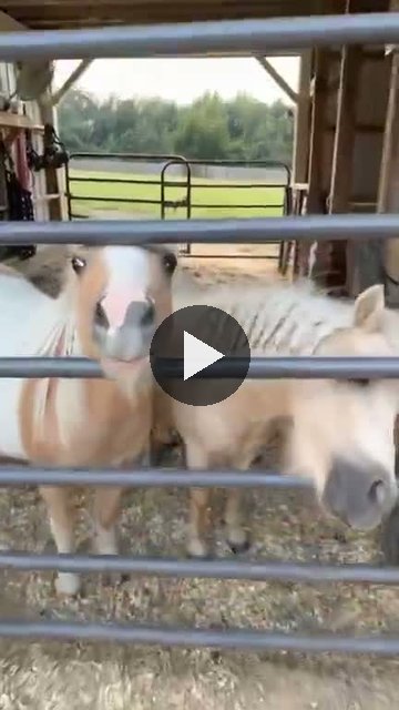 Video — September 9 2026