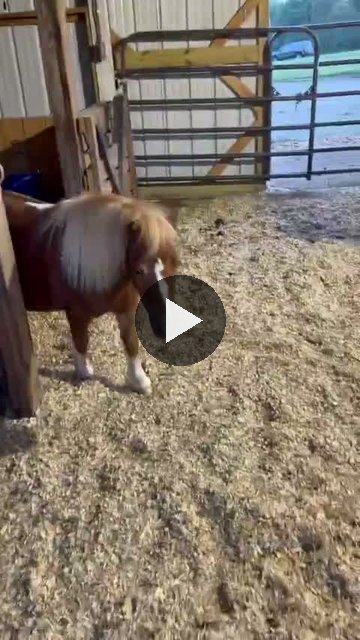 Video — September 20 2026