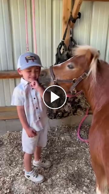 Video — June 14 2026