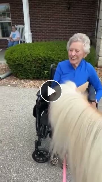 Video — June 4 2026