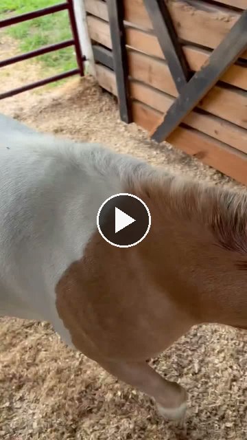 Video — July 16 2026