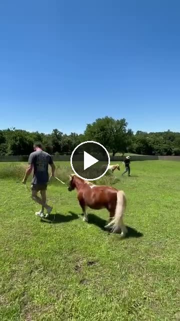 Video — June 14 2026