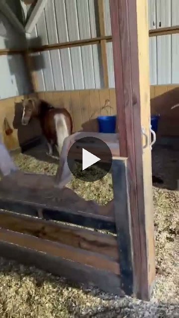 Video — September 25 2026