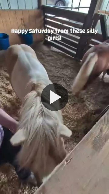 Video — August 29 2026