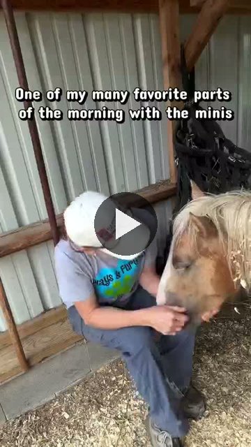 Video — August 6 2026