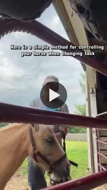 Video — August 5 2026