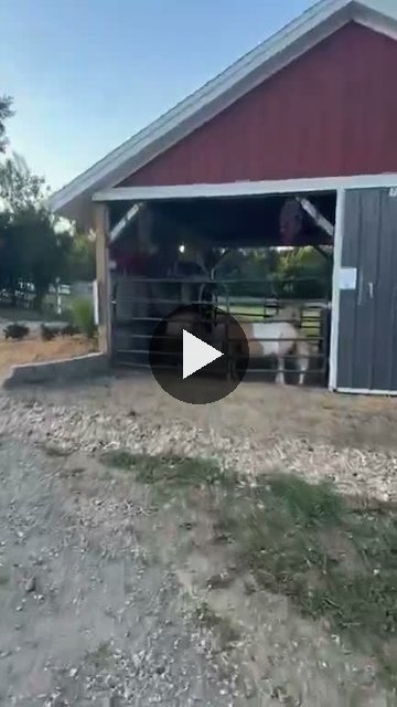 Video — August 30 2026