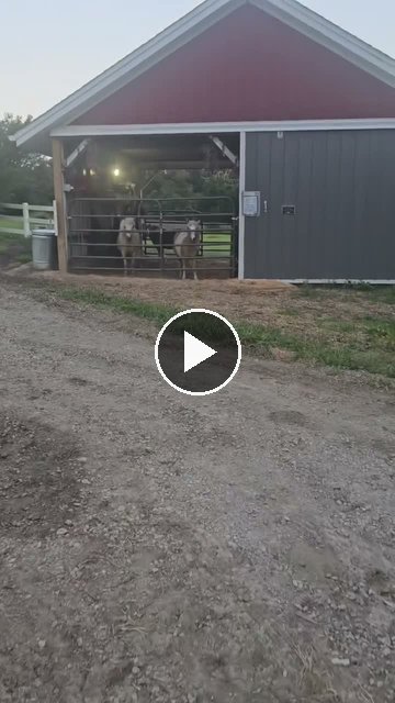 Video — July 8 2026