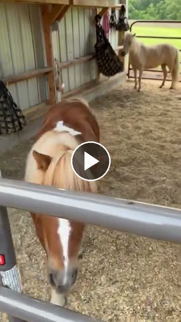 Video — June 25 2026