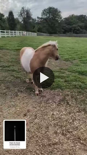 Video — August 22 2026
