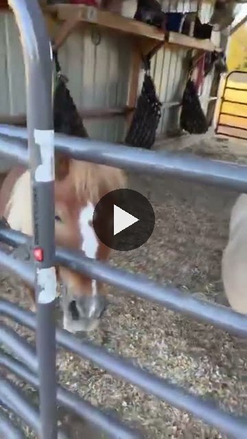 Video — October 4 2026