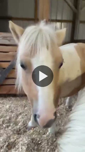 Video — September 23 2026