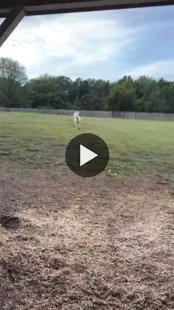 Video — September 24 2026