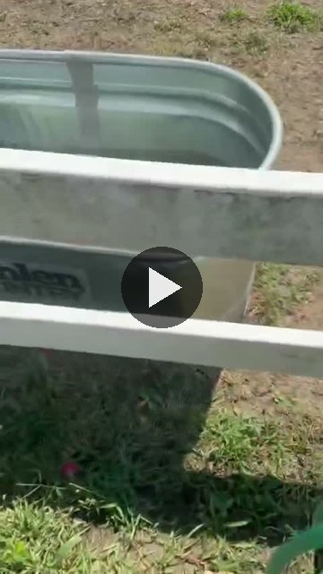 Video — September 5 2026