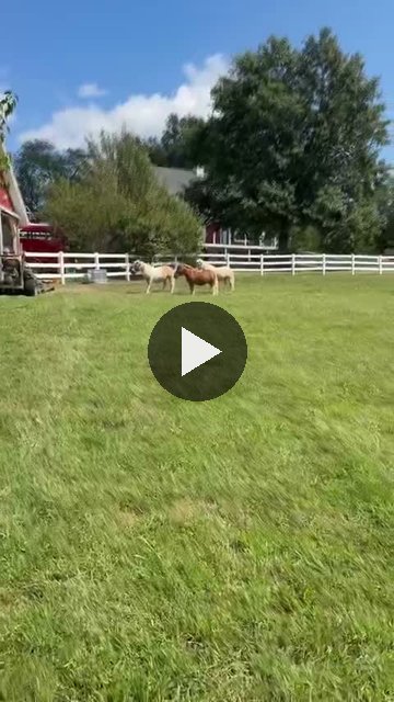 Video — September 11 2026