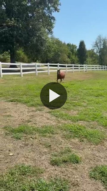 Video — September 2 2026