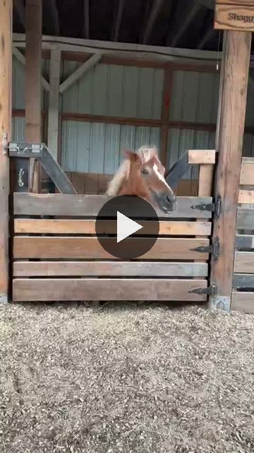 Video — August 20 2026