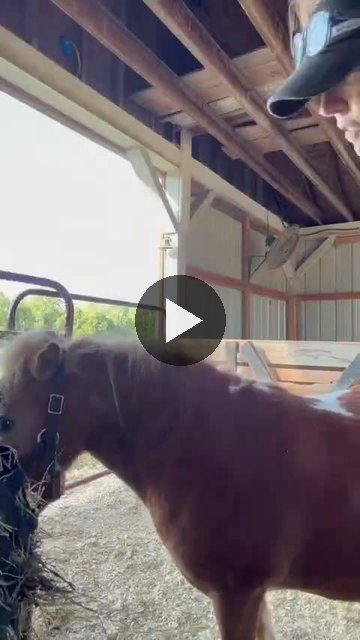 Video — August 27 2026