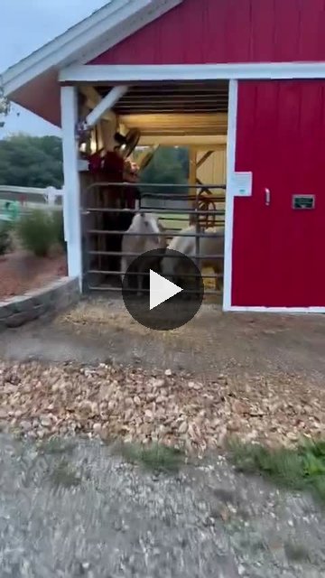 Video — October 1 2026