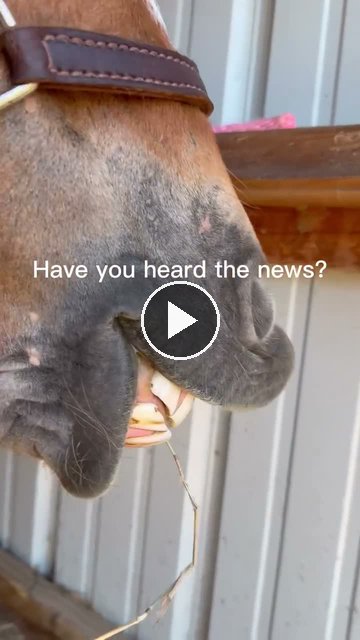 Video — July 9 2026