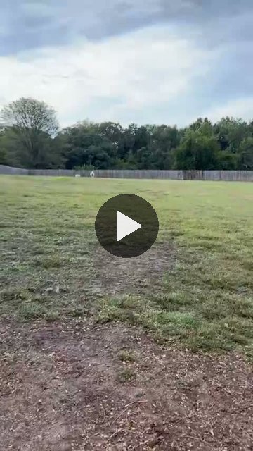 Video — September 24 2026