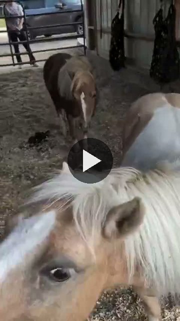 Video — August 29 2026