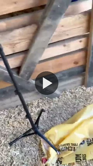 Video — September 10 2026