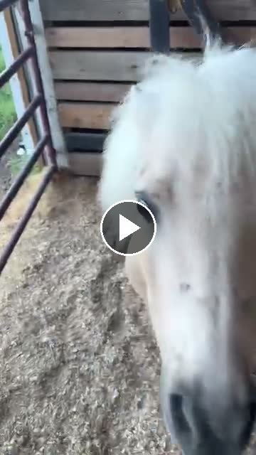 Video — June 12 2026