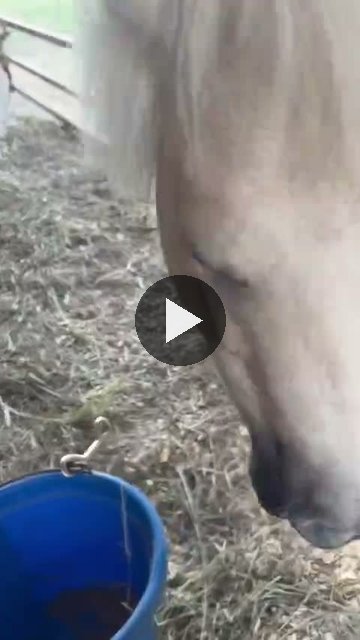 Video — August 29 2026