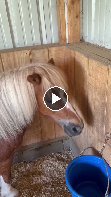 Video — July 12 2026