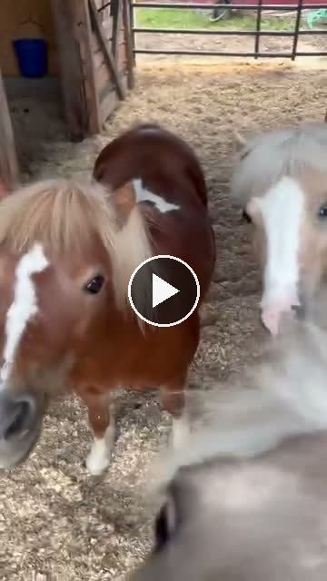 Video — June 16 2026