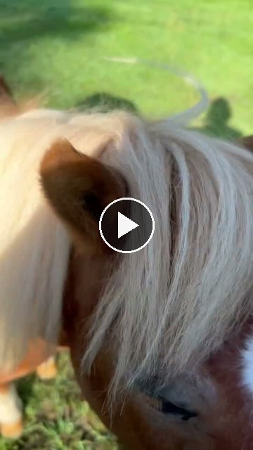 Video — July 11 2026