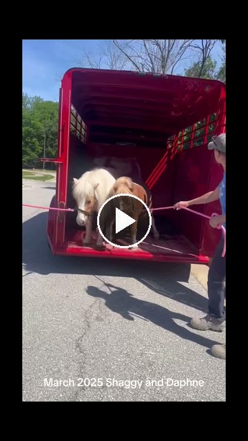 Video — May 23 2026