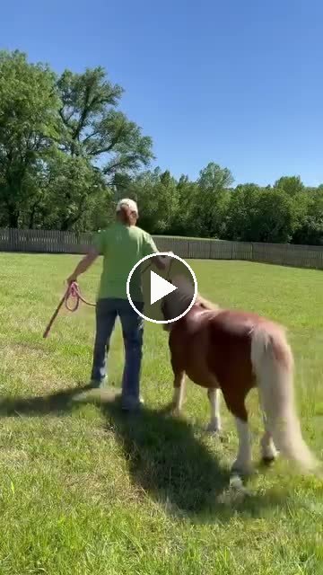 Video — May 28 2026