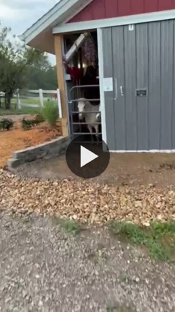 Video — September 13 2026