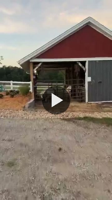 Video — August 21 2026