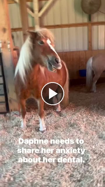 Video — July 29 2026