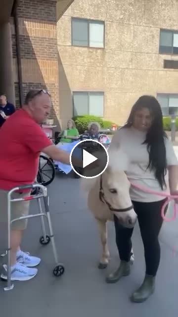 Video — May 11 2026