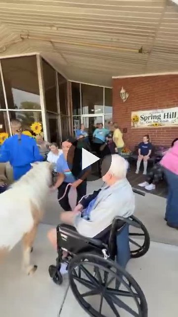 Video — September 17 2026