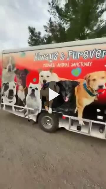 Video — August 14 2026