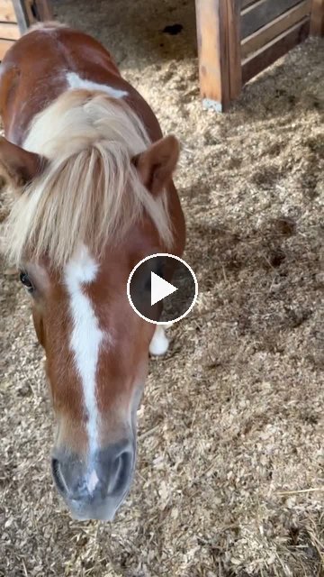 Video — July 5 2026