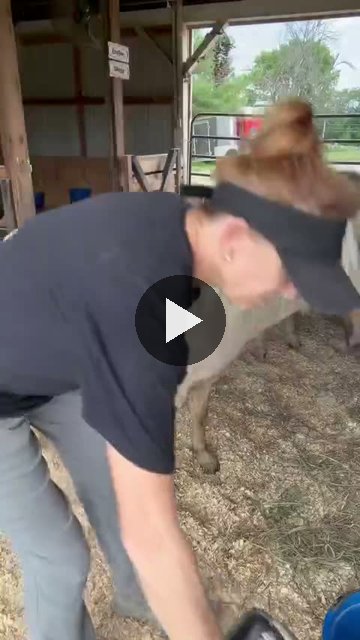 Video — August 18 2026