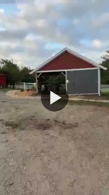 Video — August 20 2026