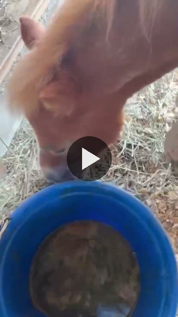 Video — September 10 2026