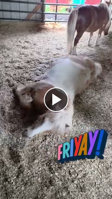 Video — May 30 2026