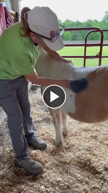 Video — May 22 2026