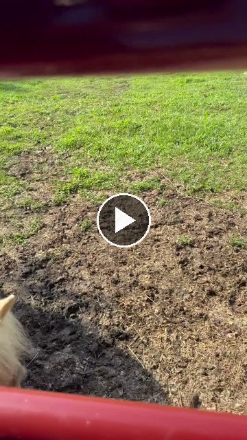Video — July 26 2026